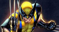 Wolverine Car Game